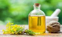 عقد قرارداد کشت کلزا در 552 هکتار از اراضی شهرستان ساری